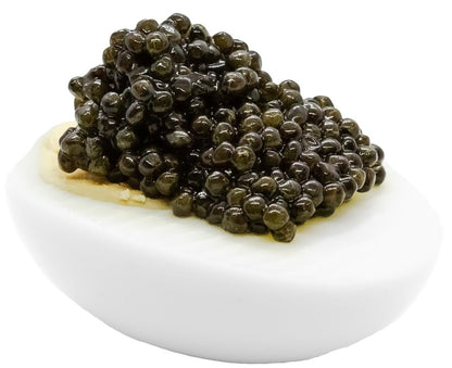 Ossetra Black Caviar